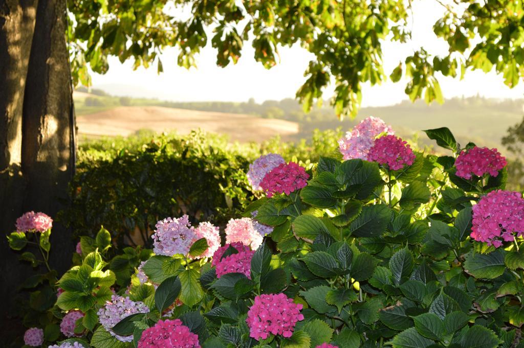 Agriturismo Cavazzone Regnano  Buitenkant foto